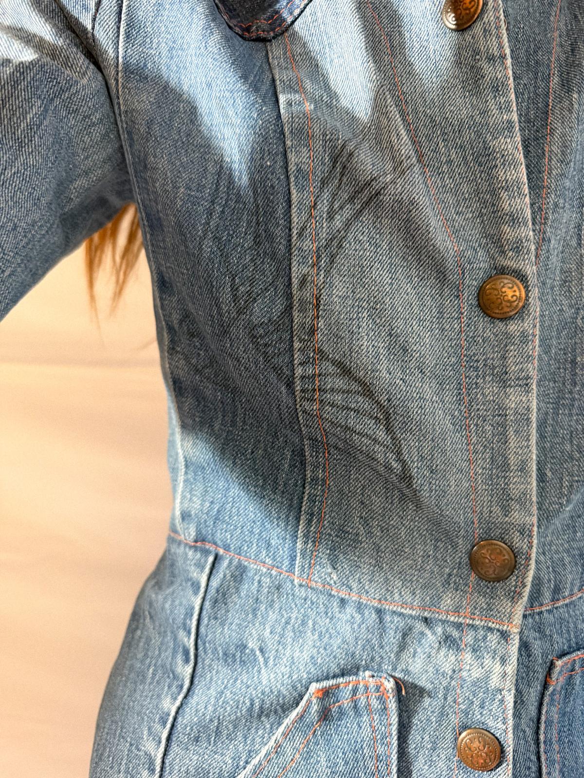 1970s Denim Dress in Heavy Cotton with Western Paneling and Swallow Motif