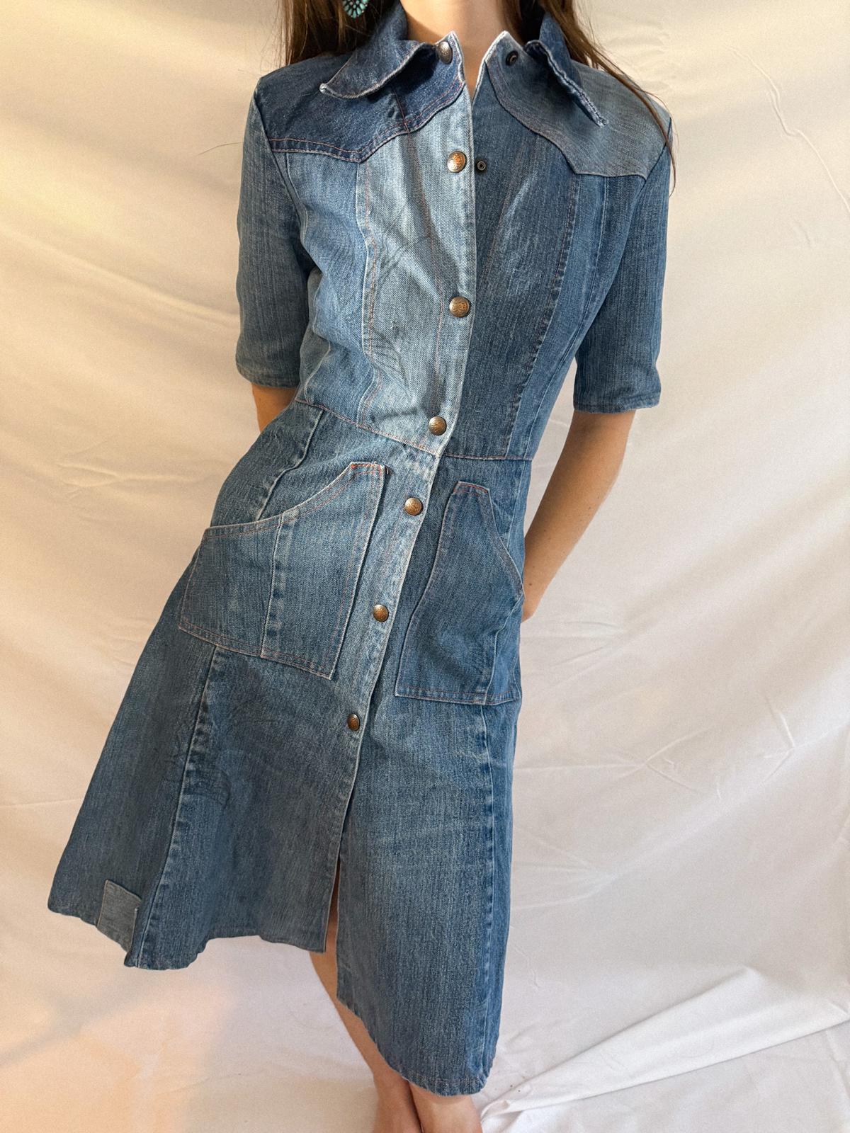 1970s Denim Dress in Heavy Cotton with Western Paneling and Swallow Motif
