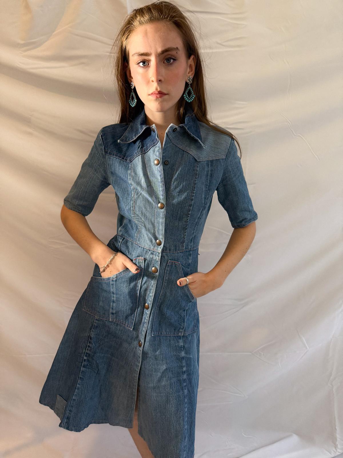 1970s Denim Dress in Heavy Cotton with Western Paneling and Swallow Motif